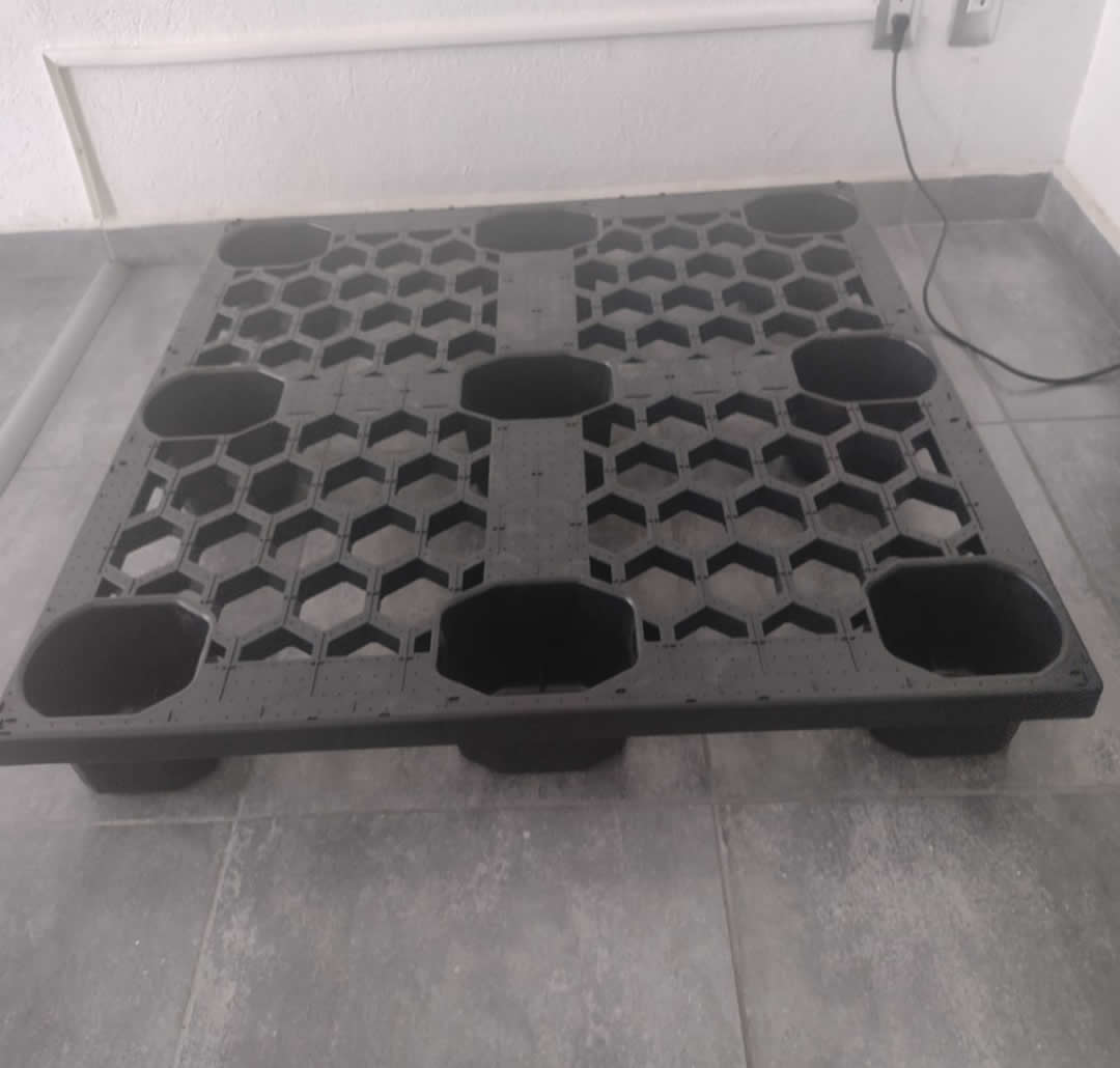 Tarima americana queretaro